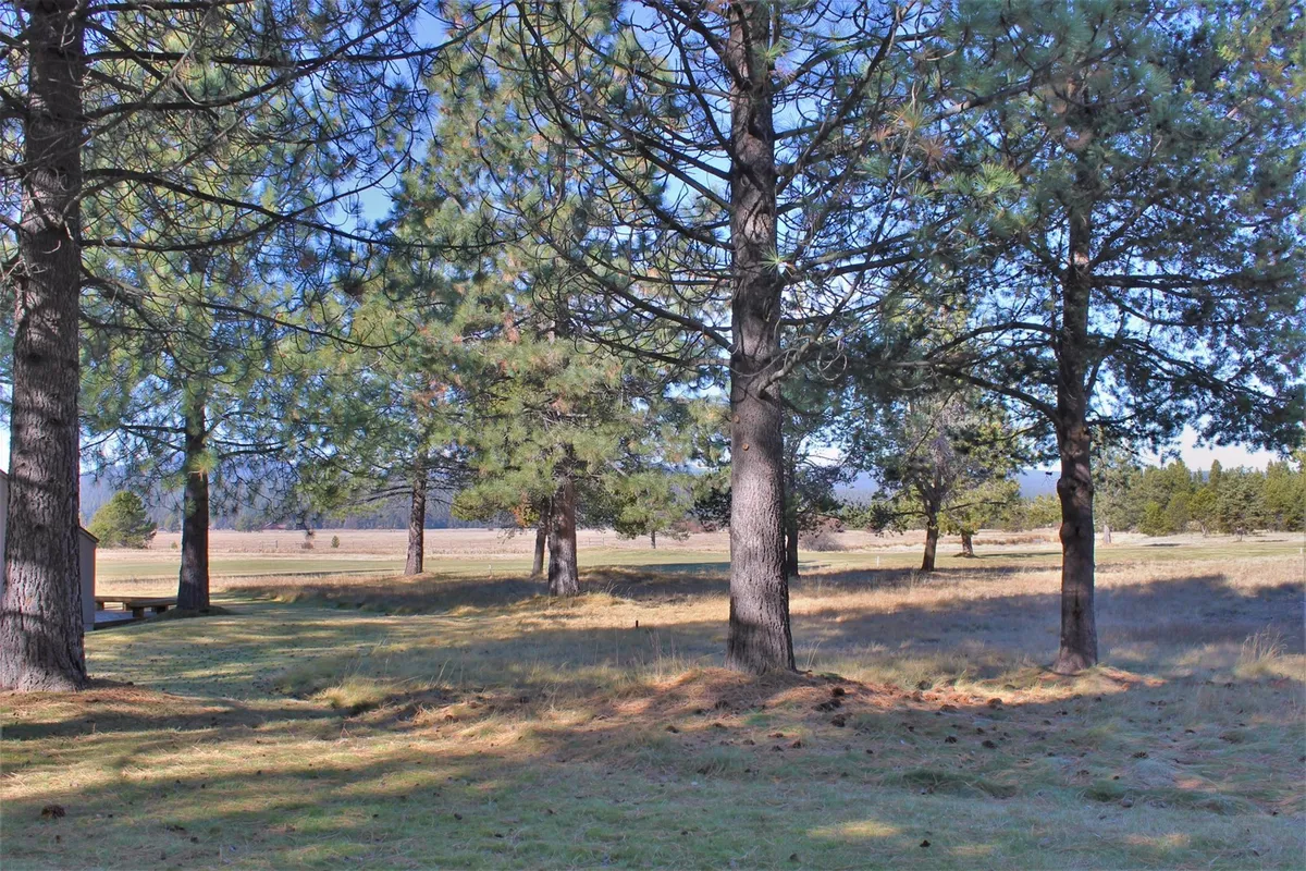 A serene outdoor landscape featuring tall pine trees, an open field, and distant mountains. The setting invites couples to enjoy sunset strolls, picnics, and nature observation, emphasizing the connection to the scenic meadows and golf course views mentioned in the section.