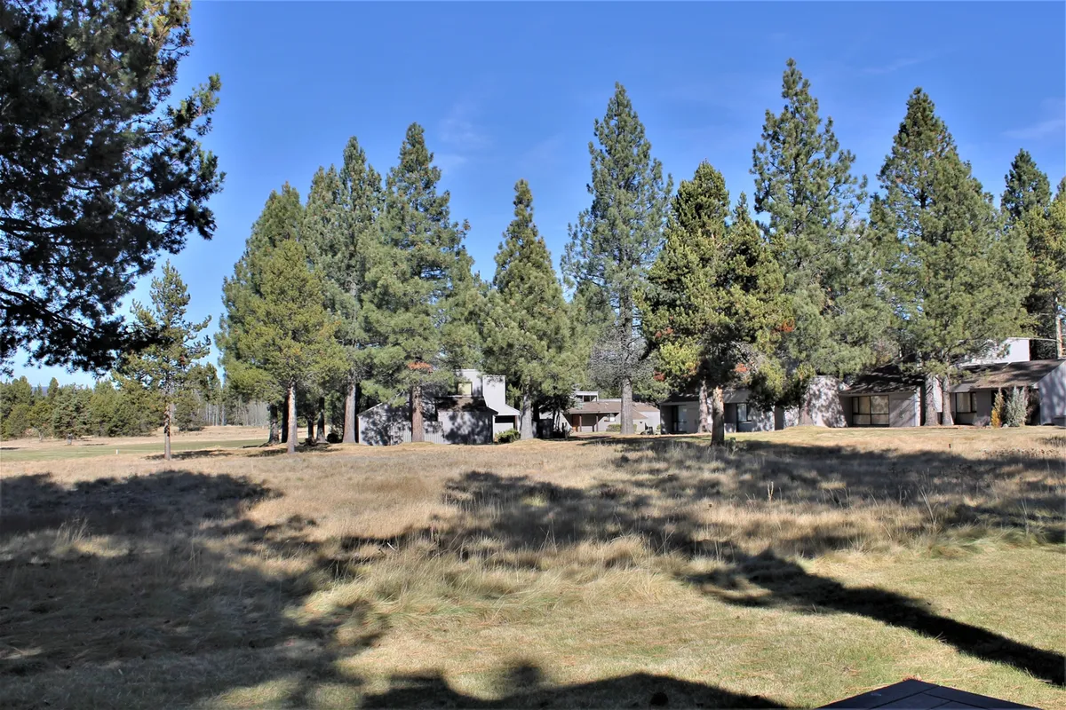 A wide stretch of grassland is bordered by tall evergreen trees, with a modern home visible in the background. The open green space is bathed in gentle sunlight, evoking a sense of freedom and connection with nature—perfect for walks, play, and exploring.