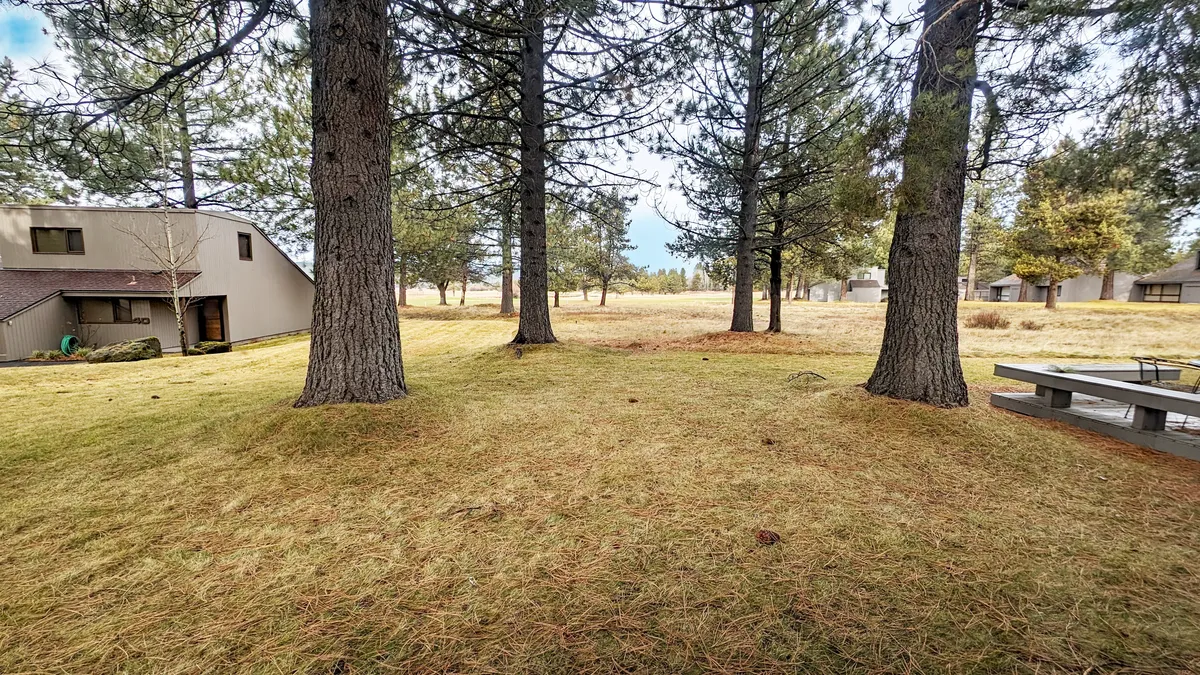 A peaceful outdoor scene with tall trees, open grassy areas, and a picnic table, ideal for family picnics or relaxing in nature. The environment feels welcoming and accessible for all ages.